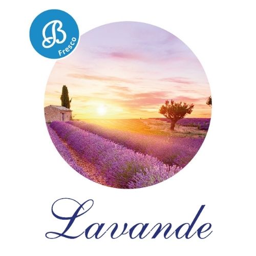 Lavanda